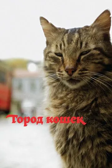 Постер к фильму Город кошек (2016)
