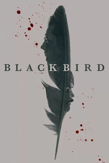 Постер к сериалу Чёрная птица 1 сезон