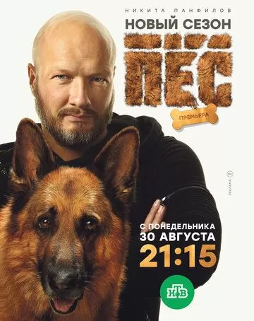 Постер к сериалу Пёс 1-6 сезон