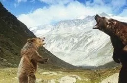 Медведь (1988) - кадр 1