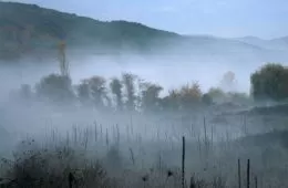 Туман 1-2 сезон - кадр 3