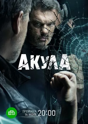 Постер к сериалу Акула 1 сезон