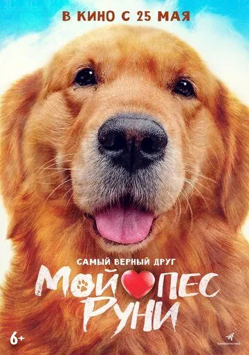 Постер к фильму Мой пёс Руни (2023)